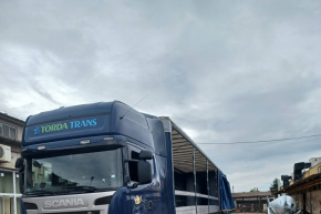 Galéria - 16944301395474